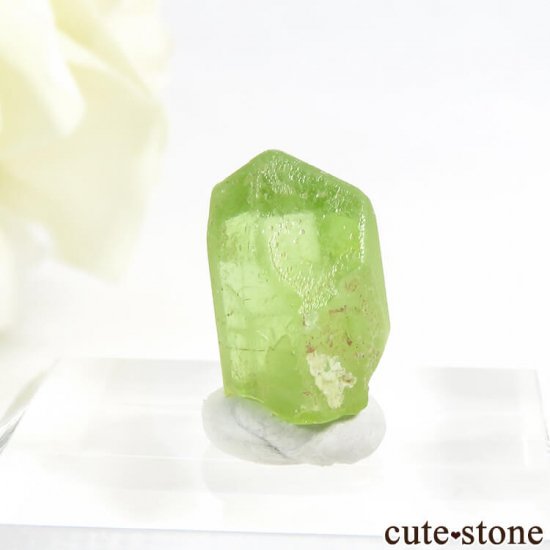ѥ ڥɥåȤη뾽ʸС8.0ctμ̿0 cute stone