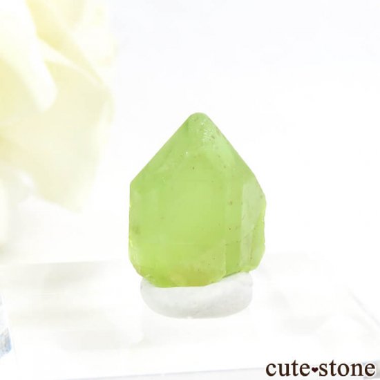 ѥ ڥɥåȤη뾽ʸС8.0ctμ̿1 cute stone