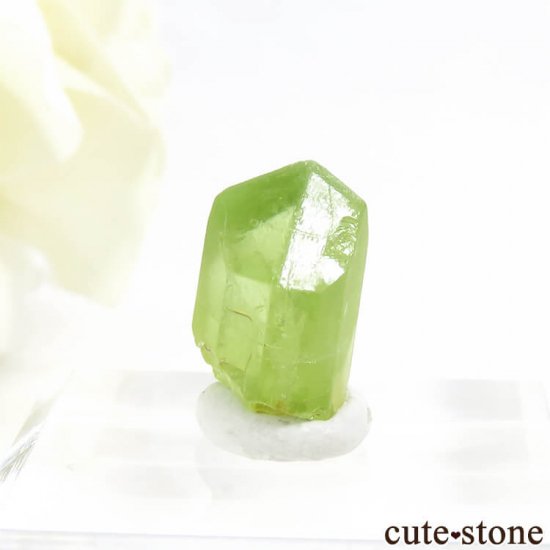 ѥ ڥɥåȤη뾽ʸС8.0ctμ̿2 cute stone