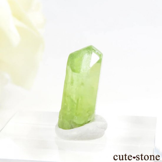 ѥ ڥɥåȤη뾽ʸС5.7ctμ̿0 cute stone