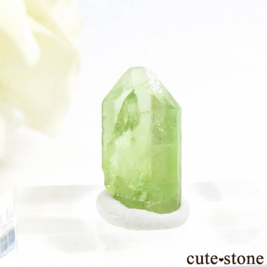 ѥ ڥɥåȤη뾽ʸС5.7ctμ̿1 cute stone
