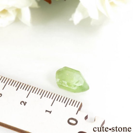 ѥ ڥɥåȤη뾽ʸС5.7ctμ̿3 cute stone