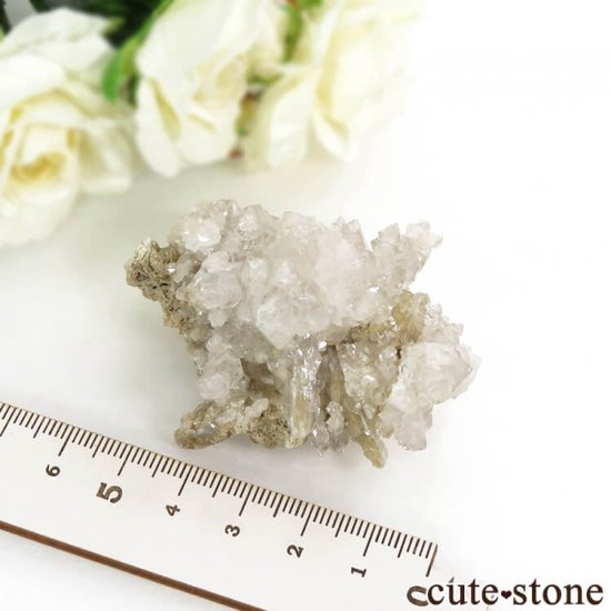  ͥ륹 徽ʥġˤθС饹 56gμ̿3 cute stone