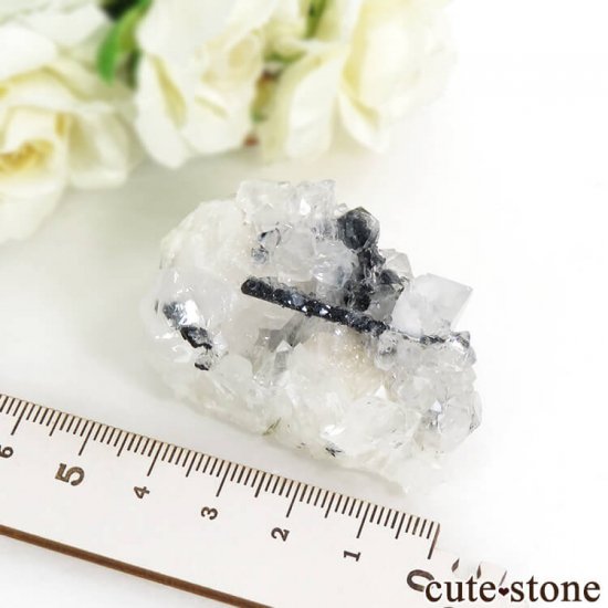  ͥ륹 徽ʥġˡХȤθС饹 45gμ̿5 cute stone