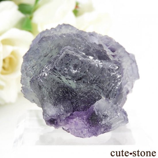  Shangbao Mine ե饤Ȥθ 63gμ̿2 cute stone