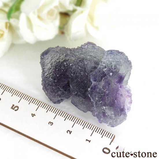  Shangbao Mine ե饤Ȥθ 63gμ̿5 cute stone