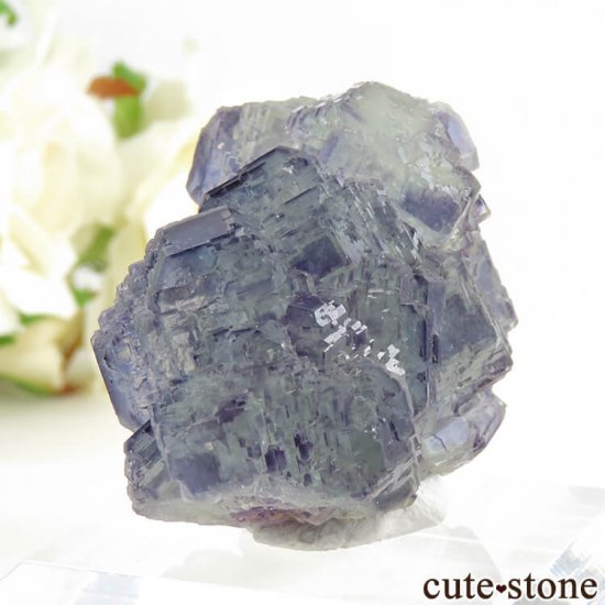  Shangbao Mine ե饤Ȥθ 45gμ̿0 cute stone