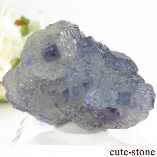 中国 Shangbao Mine産 フローライトの原石 45g - cute stone -