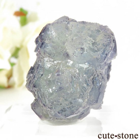  Shangbao Mine ե饤Ȥθ 45gμ̿2 cute stone