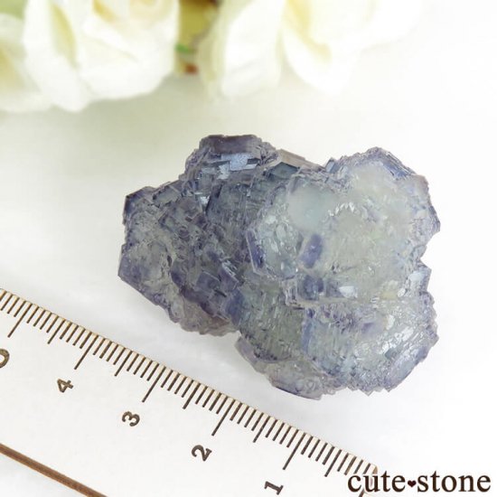 Shangbao Mine ե饤Ȥθ 45gμ̿5 cute stone