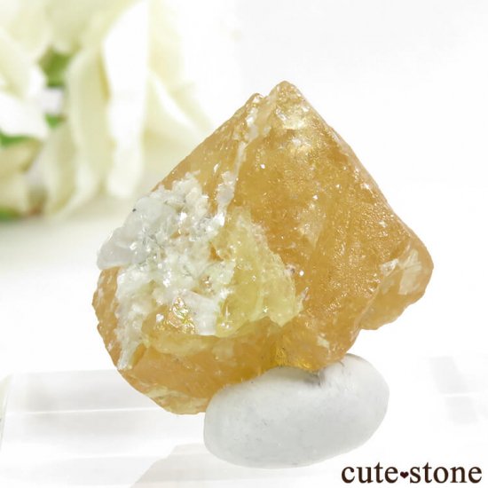  ʻ 饤Ȥη뾽ʸС18.7gμ̿1 cute stone