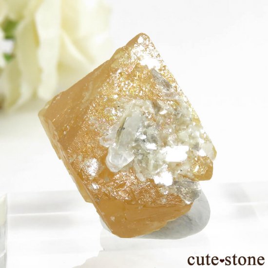  ʻ 饤Ȥη뾽ʸС18.7gμ̿2 cute stone