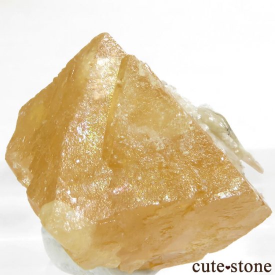  ʻ 饤Ȥη뾽ʸС18.7gμ̿3 cute stone