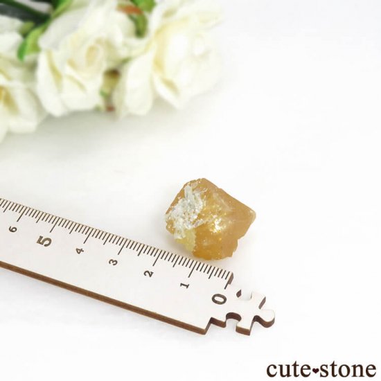  ʻ 饤Ȥη뾽ʸС18.7gμ̿4 cute stone