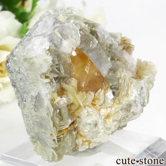  ʻ 饤ȡե饤Ȥդ뾽ʸС72.6gμ̿0 cute stone