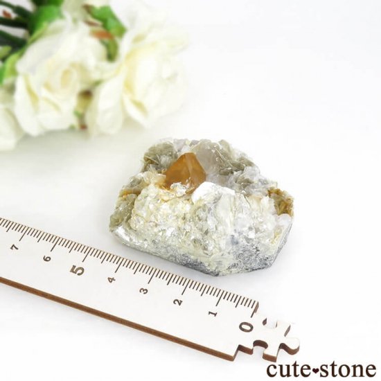 ʻ 饤ȡե饤Ȥդ뾽ʸС72.6gμ̿4 cute stone