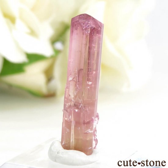 Malkhan ȥޥη뾽() 1gμ̿0 cute stone