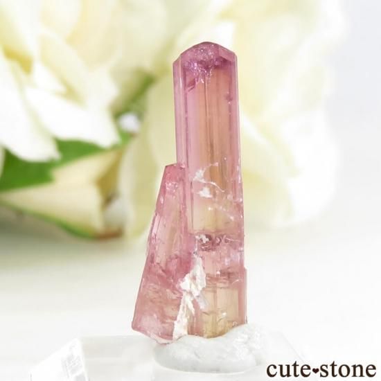  Malkhan ȥޥη뾽() 1gμ̿1 cute stone