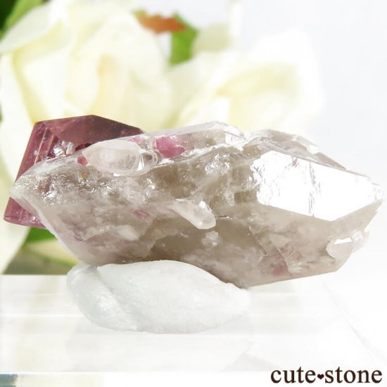  Malkhan ȥޥդ뾽() 7.2gμ̿1 cute stone