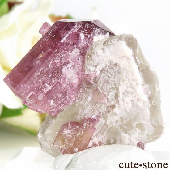  Sherlova Gora ȥޥդ뾽() 8.7gμ̿1 cute stone