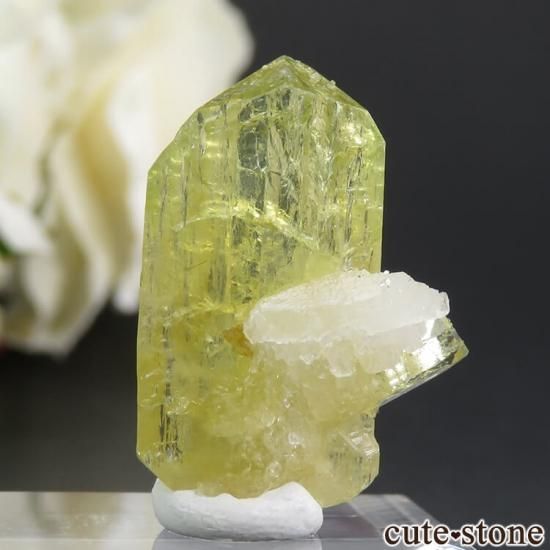 ֥饸 Linopolis ֥饸ꥢʥȤη뾽 4gμ̿1 cute stone