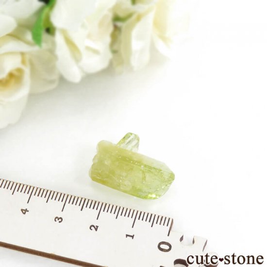 ֥饸 Linopolis ֥饸ꥢʥȤη뾽 4gμ̿5 cute stone