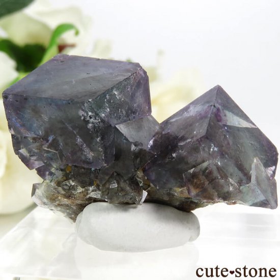 ʥߥӥ Okorusu Mineե饤ȡĤθ 27.7gμ̿1 cute stone