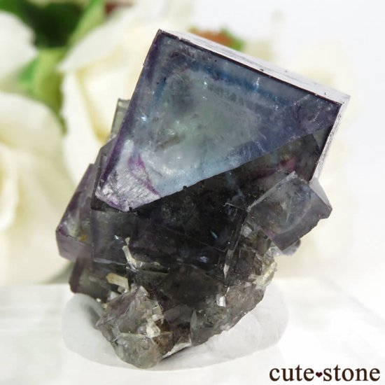ʥߥӥ Okorusu Mineե饤ȡĤθ 27.7gμ̿2 cute stone