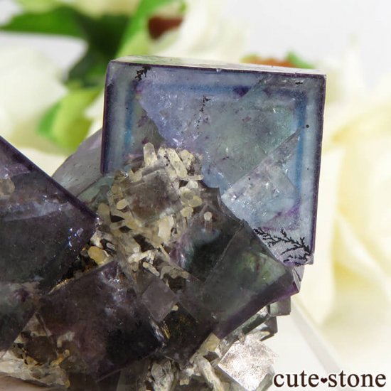 ʥߥӥ Okorusu Mineե饤ȡĤθ 27.7gμ̿3 cute stone