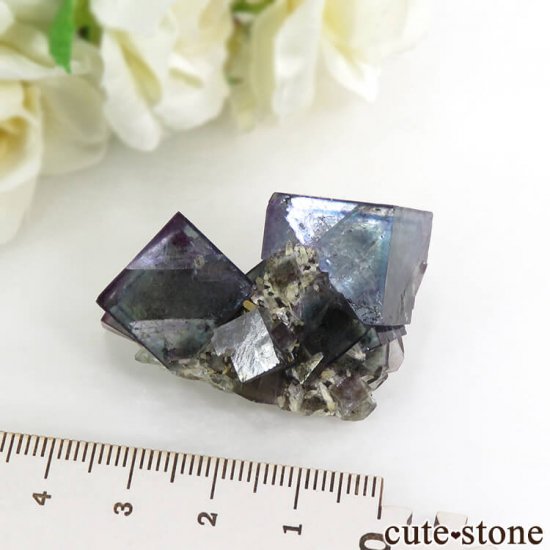 ʥߥӥ Okorusu Mineե饤ȡĤθ 27.7gμ̿6 cute stone