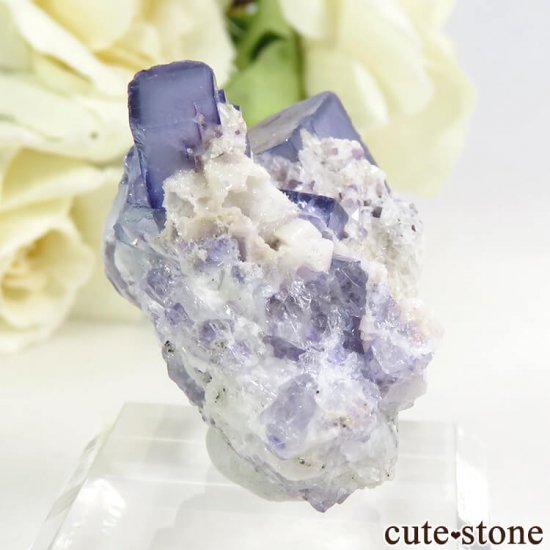 䥪󥷥 ֥롼ե饤 19gμ̿0 cute stone