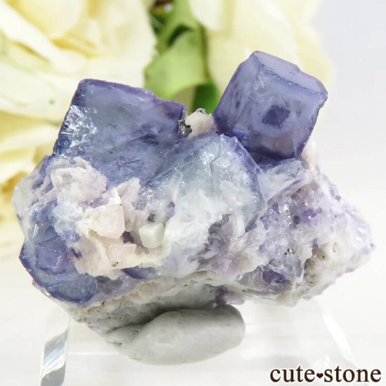 䥪󥷥 ֥롼ե饤 19gμ̿1 cute stone