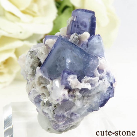 䥪󥷥 ֥롼ե饤 19gμ̿2 cute stone