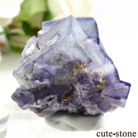 䥪󥷥 ֥롼ե饤 13.5gμ̿0 cute stone