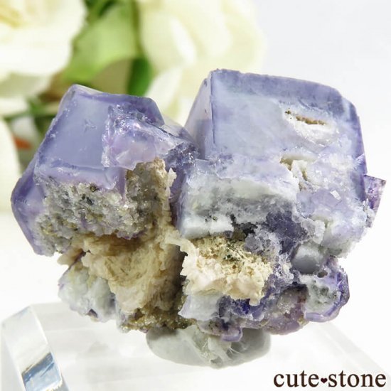 䥪󥷥 ֥롼ե饤 13.5gμ̿1 cute stone