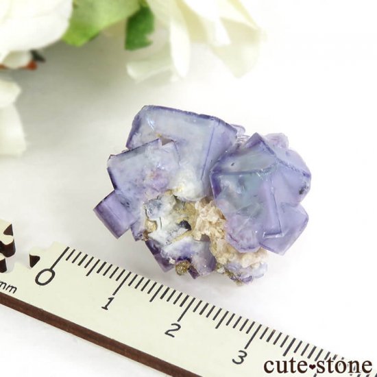 䥪󥷥 ֥롼ե饤 13.5gμ̿3 cute stone