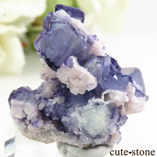 䥪󥷥 ֥롼ե饤 11.3gμ̿0 cute stone