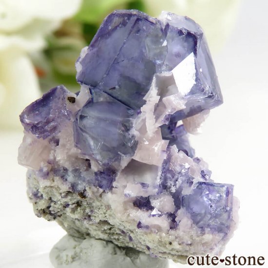 䥪󥷥 ֥롼ե饤 11.3gμ̿1 cute stone