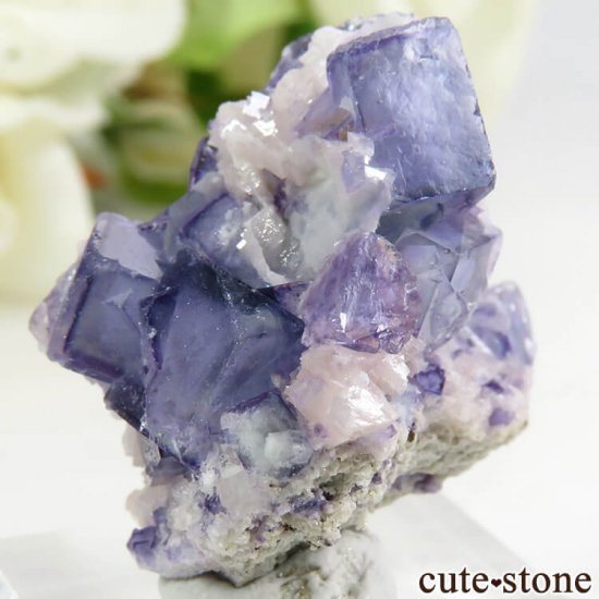 䥪󥷥 ֥롼ե饤 11.3gμ̿2 cute stone