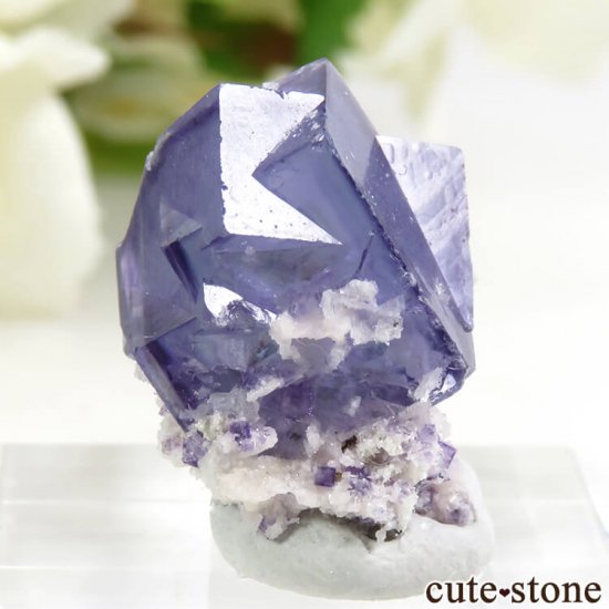 䥪󥷥 ֥롼ե饤 4.9gμ̿0 cute stone