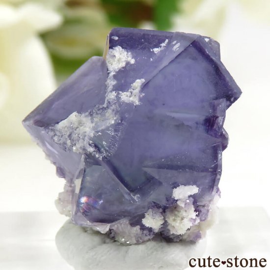 䥪󥷥 ֥롼ե饤 4.9gμ̿1 cute stone
