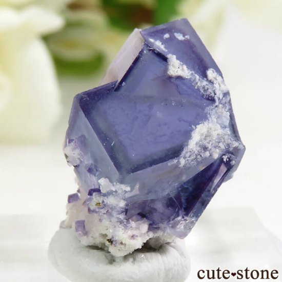 䥪󥷥 ֥롼ե饤 4.9gμ̿2 cute stone