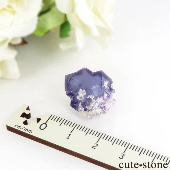 䥪󥷥 ֥롼ե饤 4.9gμ̿3 cute stone
