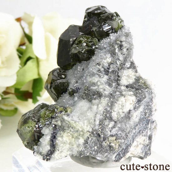 ֥륬ꥢ 饤եʥե饤ȡˤդ뾽 58gμ̿2 cute stone
