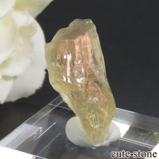 쥴󥵥󥹥ȡθ 3.9gμ̿1 cute stone