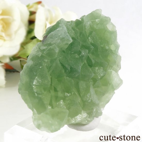 ꥫ ե˥ ꡼ե饤Ȥη뾽ʸС 51.5gμ̿0 cute stone