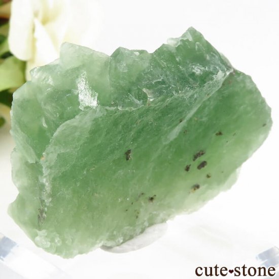 ꥫ ե˥ ꡼ե饤Ȥη뾽ʸС 51.5gμ̿1 cute stone