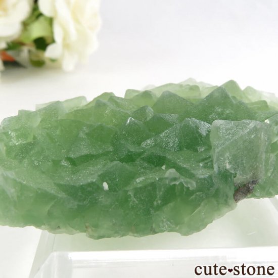 ꥫ ե˥ ꡼ե饤Ȥη뾽ʸС 51.5gμ̿2 cute stone