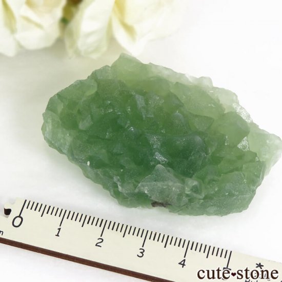 ꥫ ե˥ ꡼ե饤Ȥη뾽ʸС 51.5gμ̿3 cute stone
