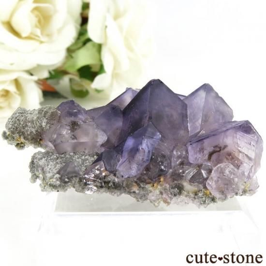 519 中国 内モンゴル産 レアタイプ フローライト&パイライト 519 中国 内モンゴル産 レアタイプ フローライト&パイライト 中国 内